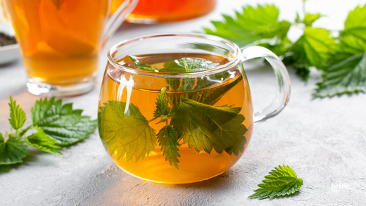 What Are The Benefits Of Nettle Leaf Tea? A Perfect Start to Your New Year Wellness